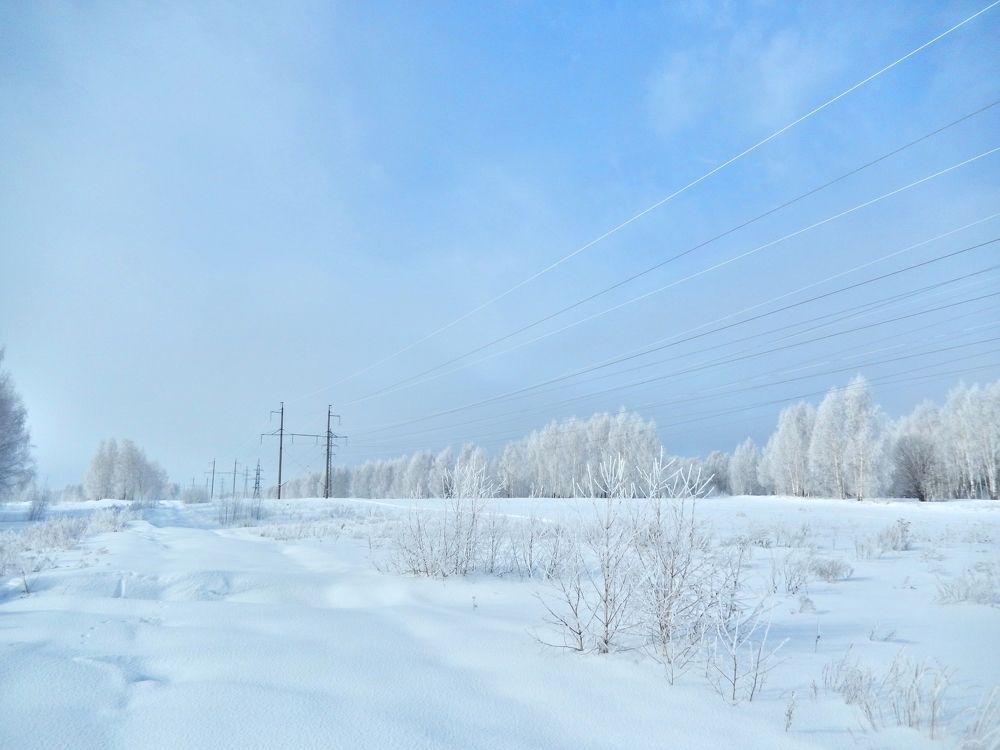 Фотография автора Клавдия Васильева