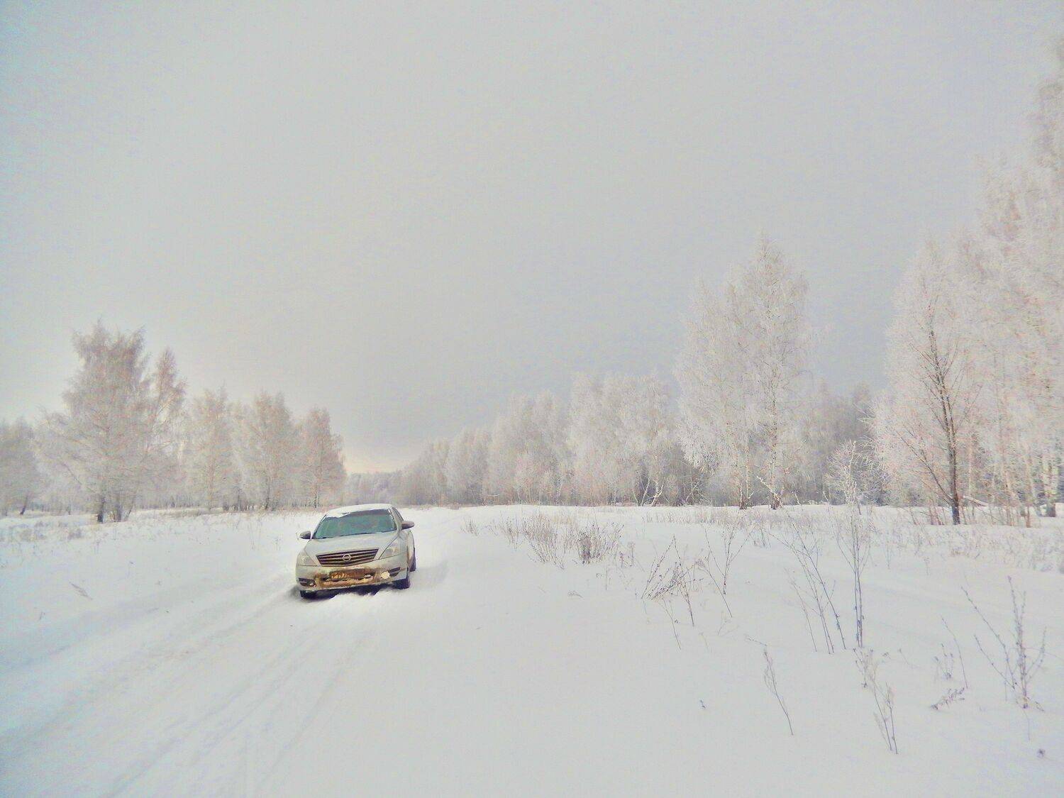 Photo #8476895