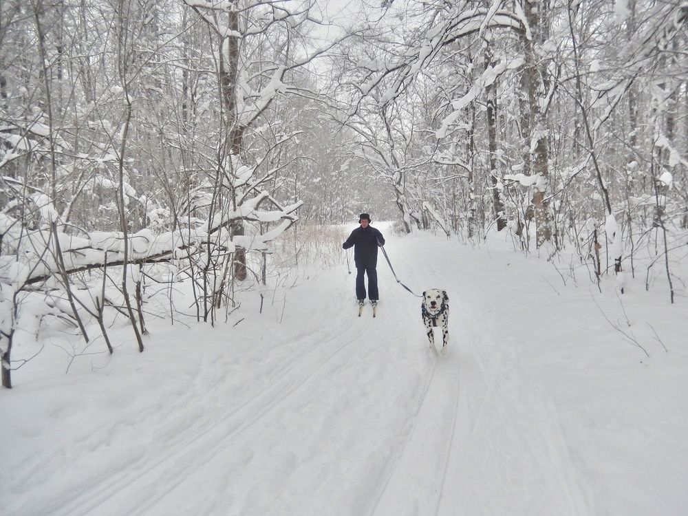 Фотография автора Клавдия Васильева