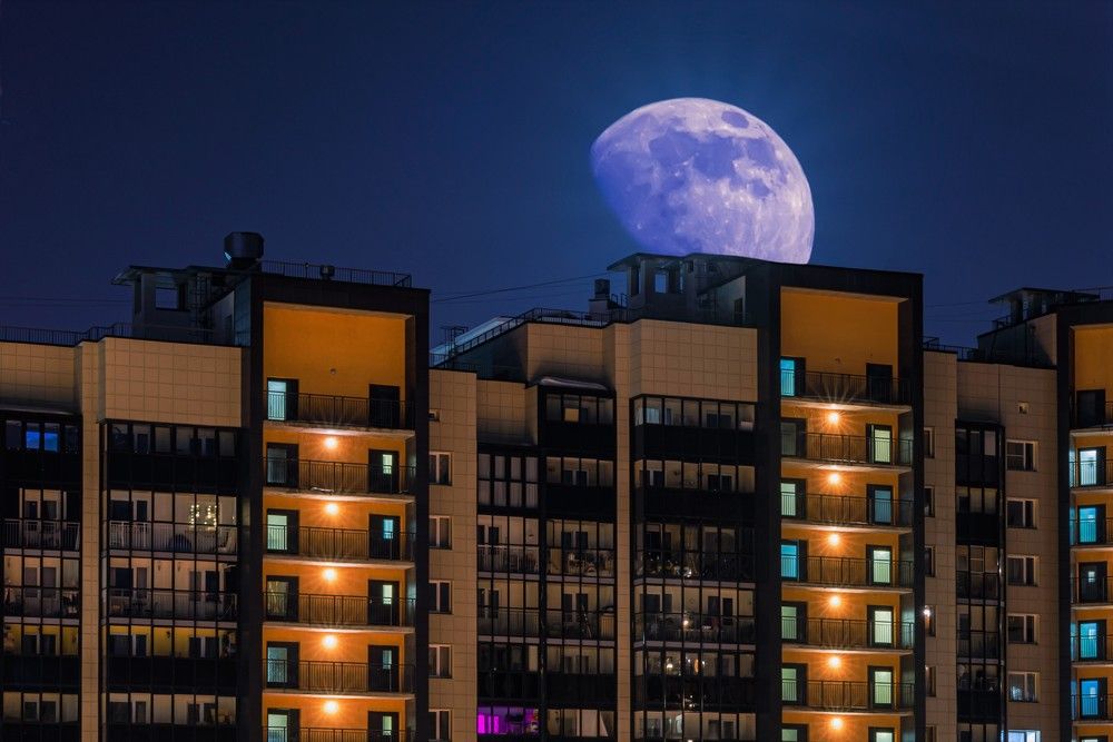 Photograph by Алексей Петров