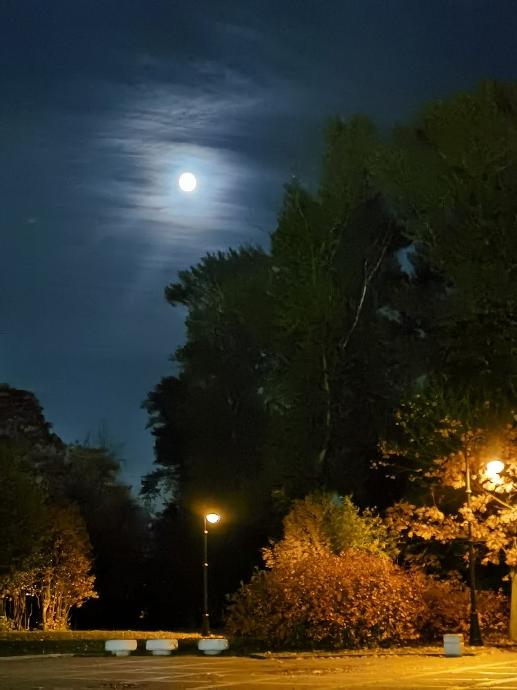 Photograph by Виталий Кореньков