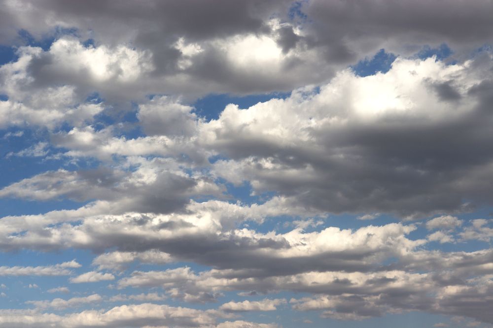 Photograph by Faezeh Fazeli