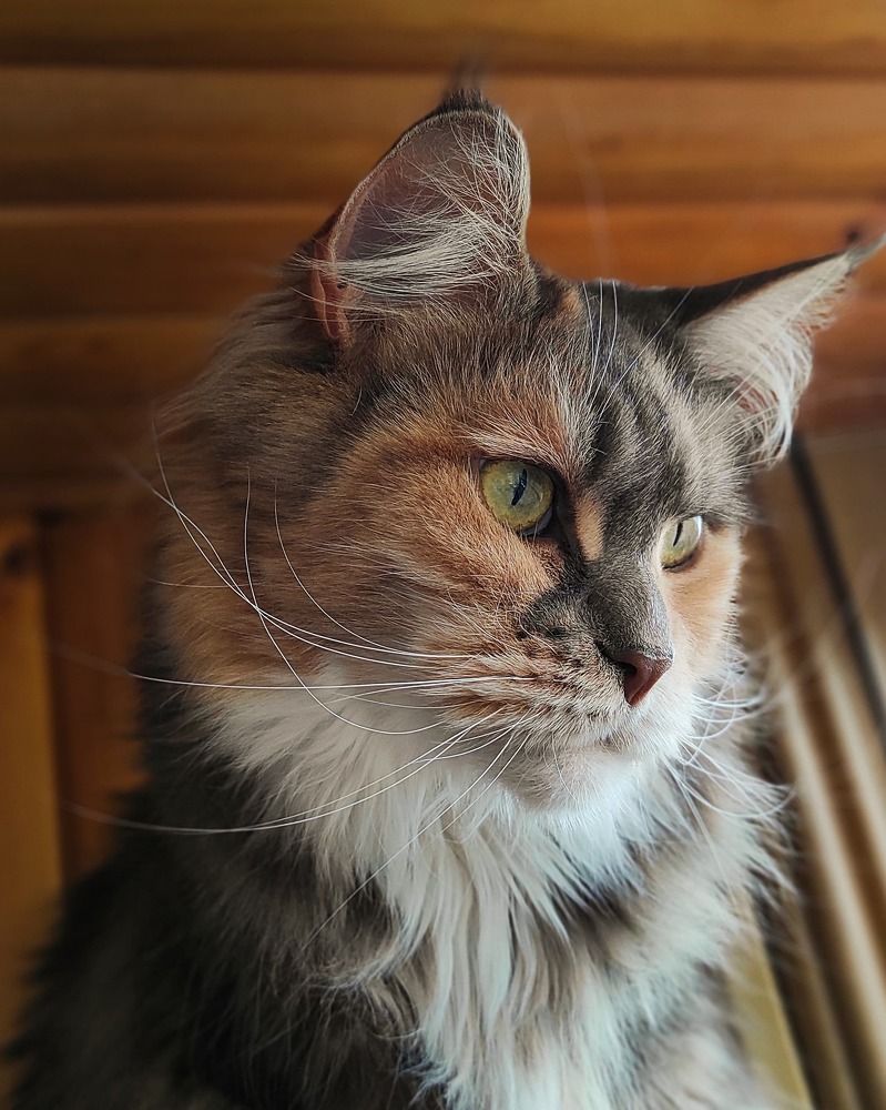 Photograph by Helen Ka