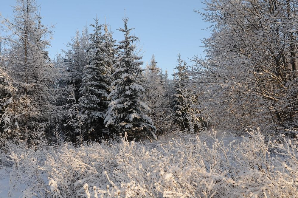 Photograph by Владимир