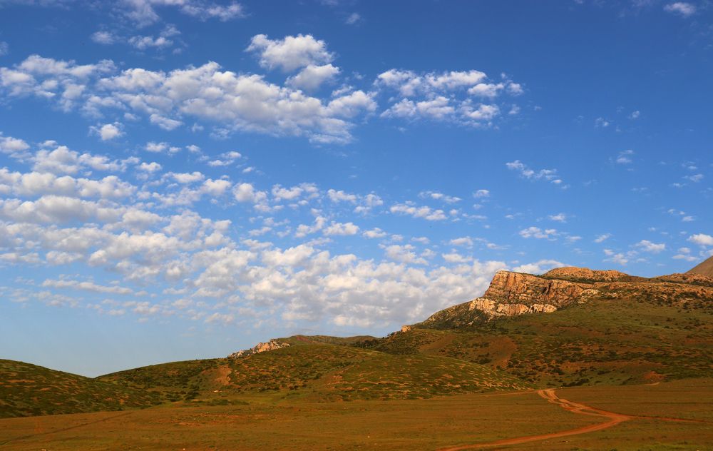 Photograph by Faezeh Fazeli