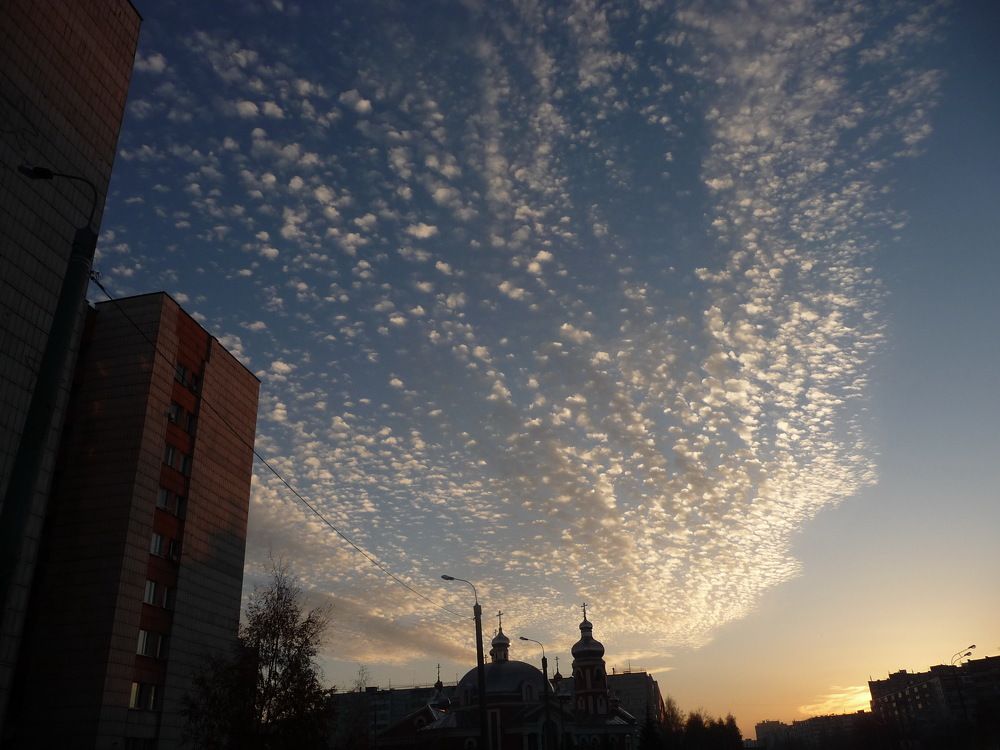 Фотография автора Клавдия Васильева