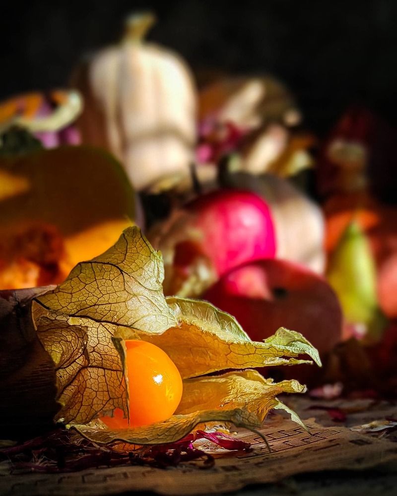 Photograph by Helen Ka