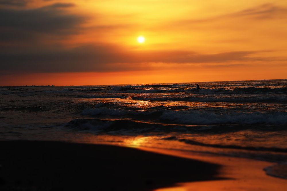 Photograph by Faezeh Fazeli