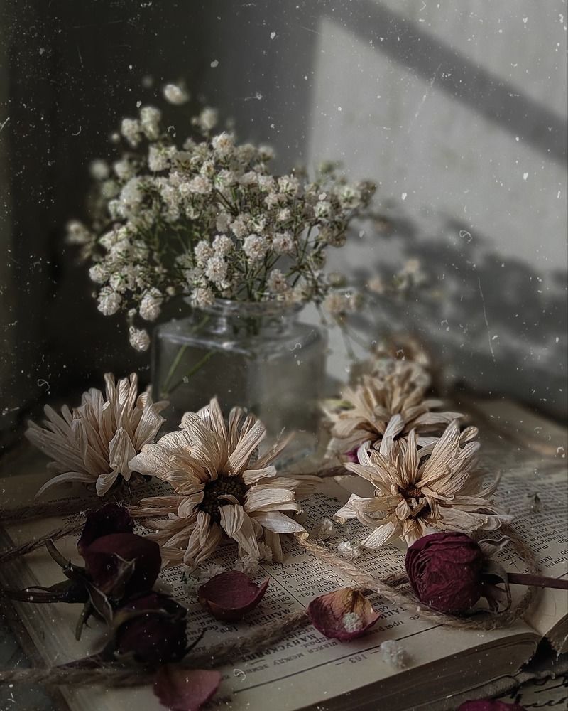 Photograph by Helen Ka