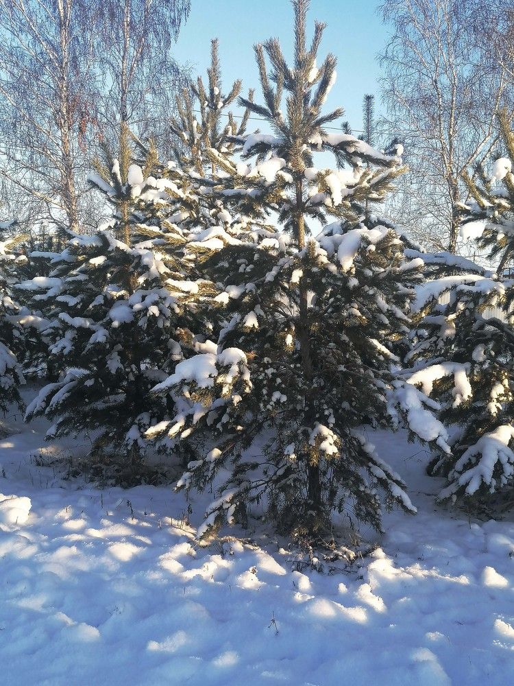 Photograph by Елена Андреевна