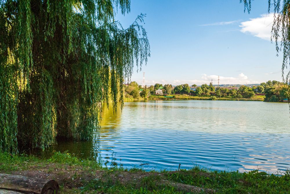 Photograph by Денис Кичев