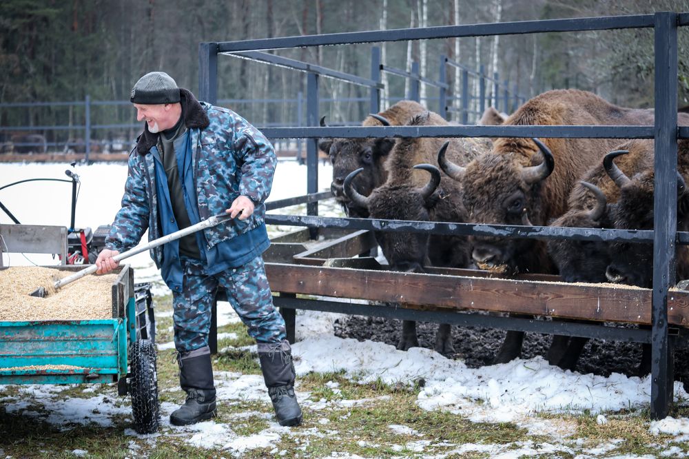 Photograph by Светлана Солдатченкова