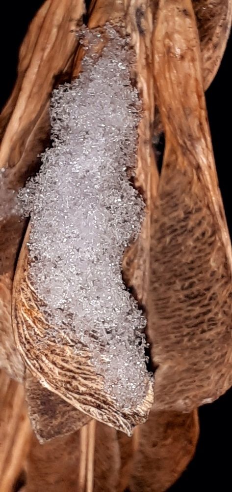 Photograph by Евгения Ульянова