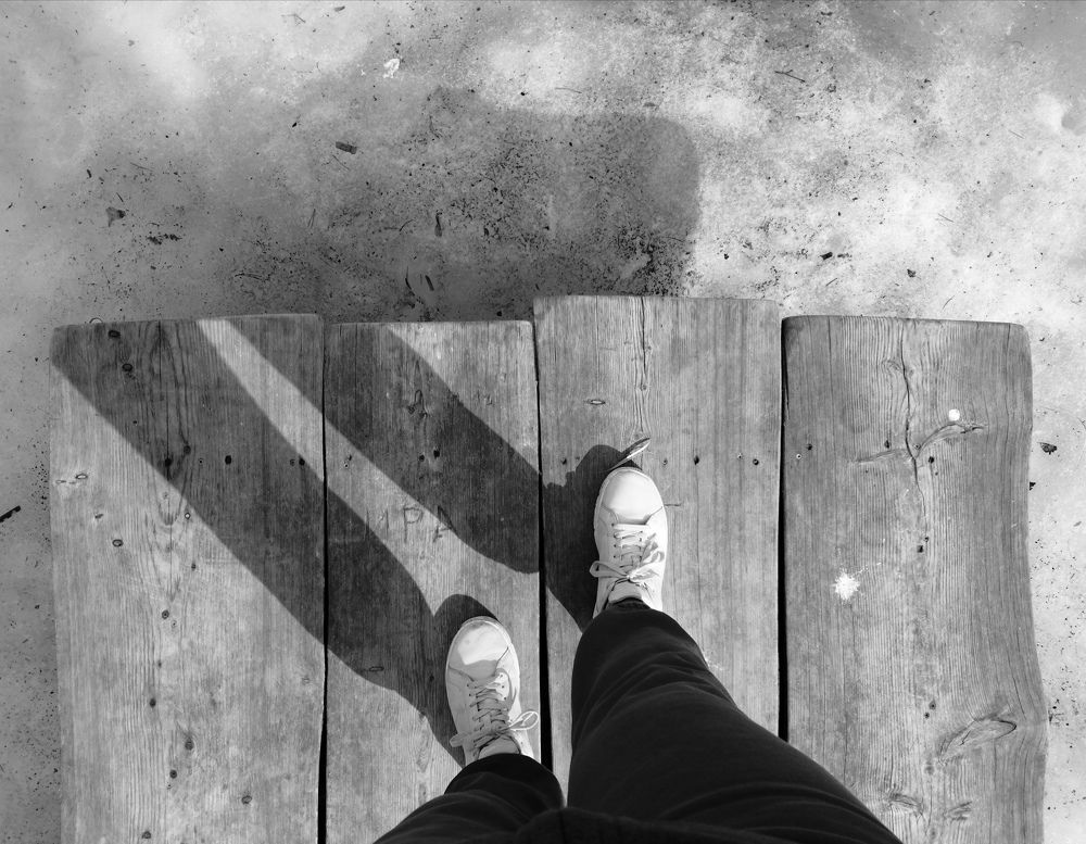 Photo #8477055