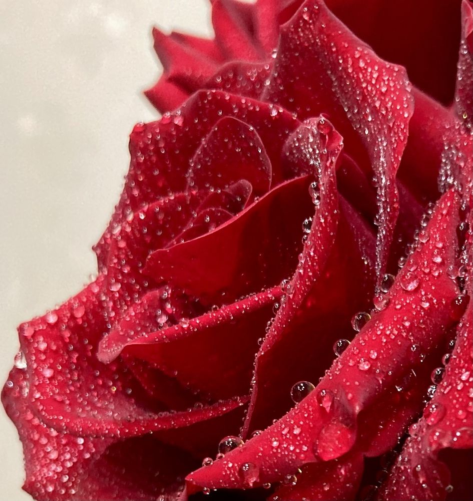 Photograph by Татьяна Раковская