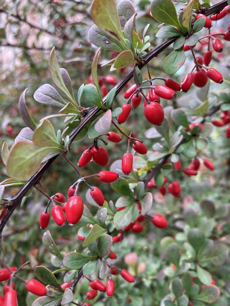 Photograph by Татьяна Раковская