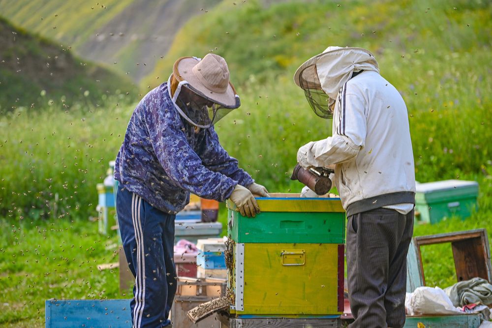 Photograph by Инна Гаджиева