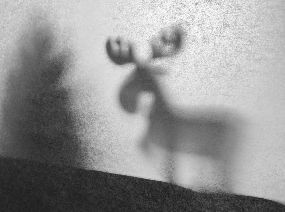 Photograph by Татьяна Раковская