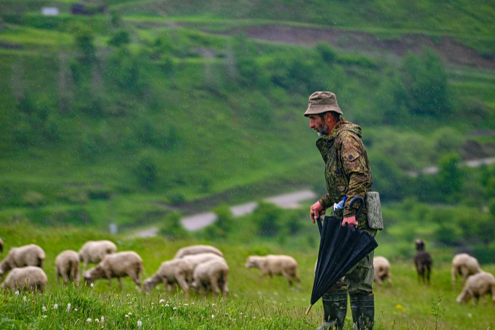 Photograph by Инна Гаджиева