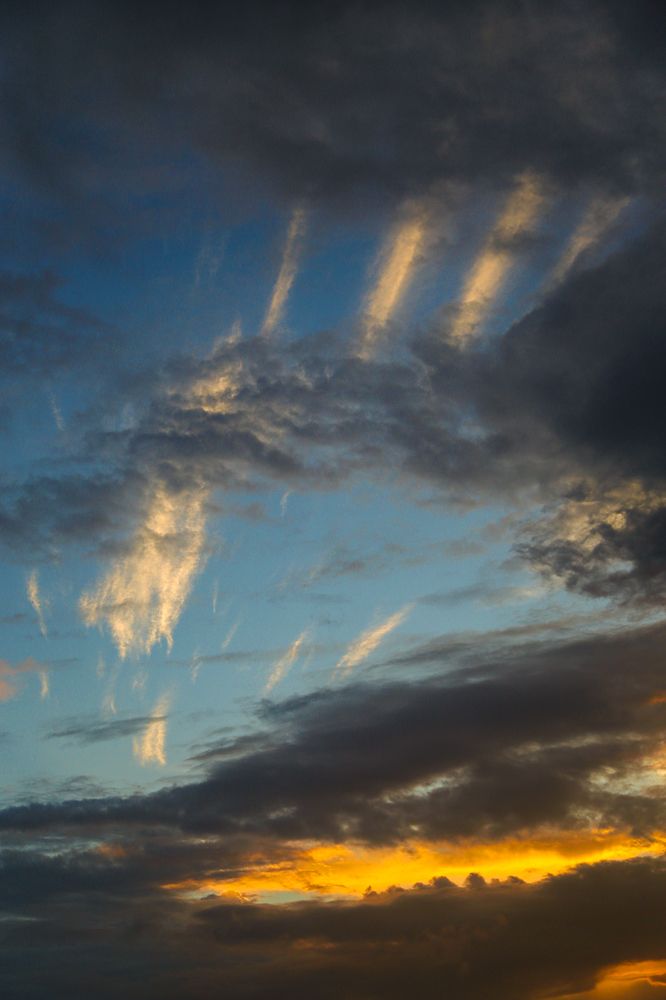 Фотография автора Laddu Sasindu Pramuditha De Silva