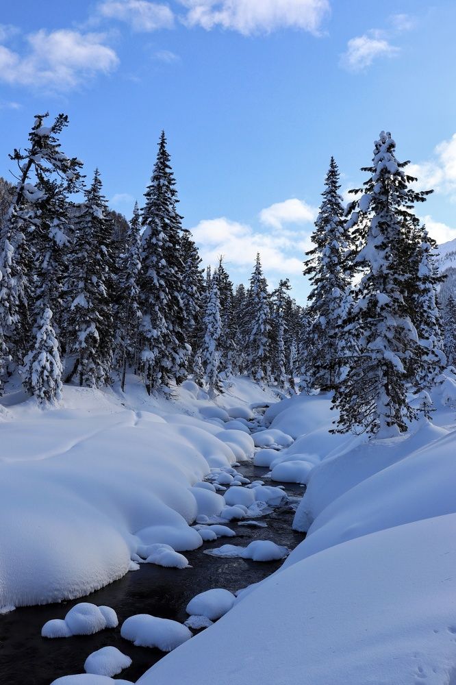 Photograph by Кощеева Марина