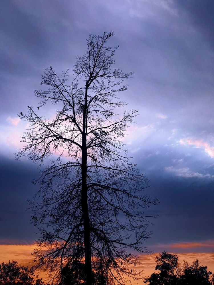 Photograph by Наталья Перерва