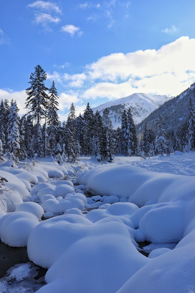 Photograph by Кощеева Марина