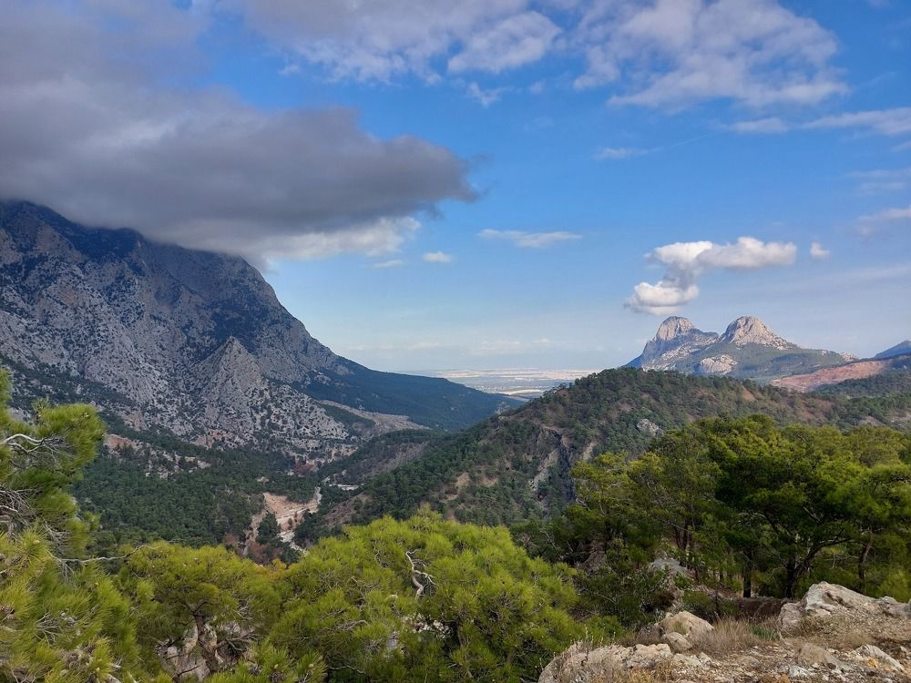 Photograph by Olga Min