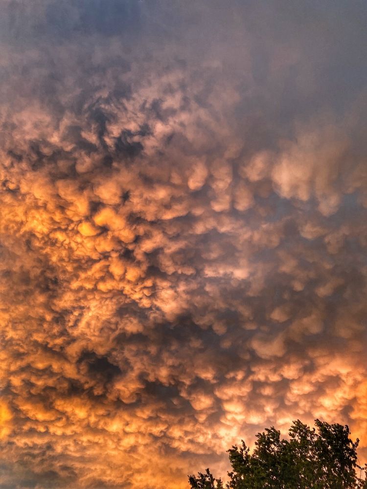 Photograph by Alexander Siemens