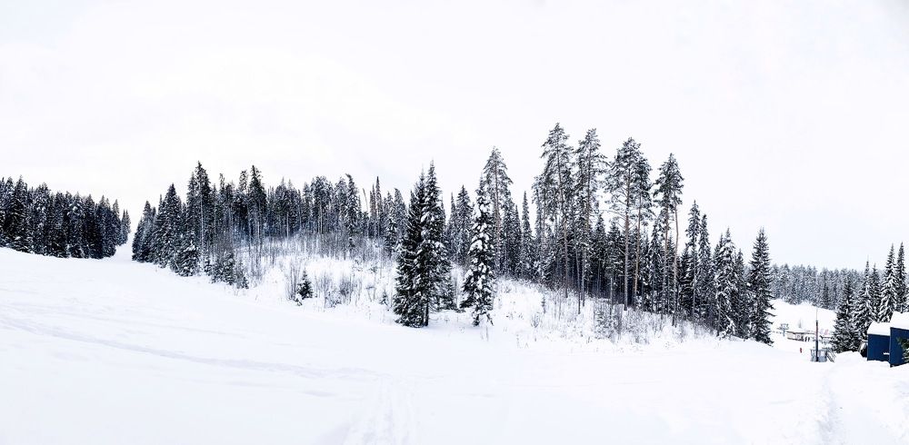 Фотография автора Рамзия Хисамутдинова