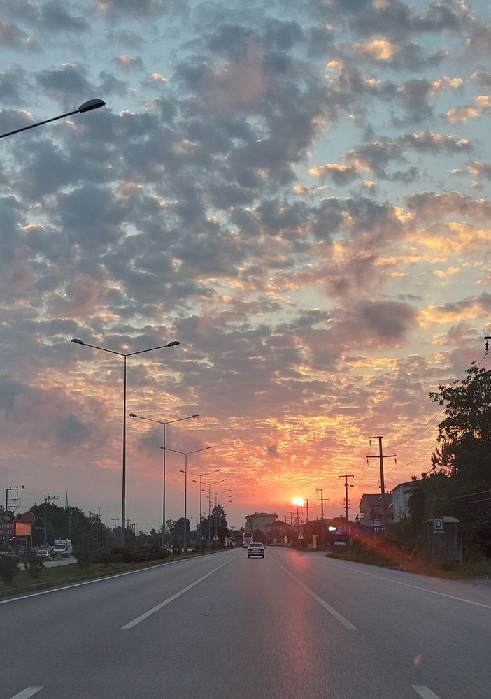 Photograph by Olga Min