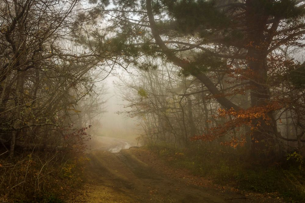 Photograph by Игорь Сидун