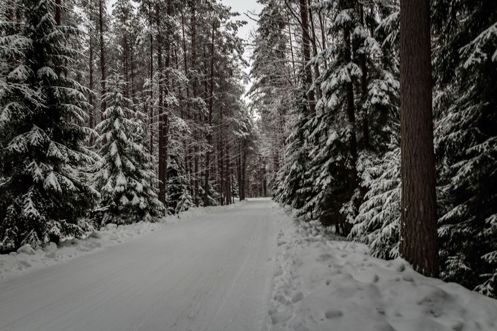 Photograph by Игорь Сидун