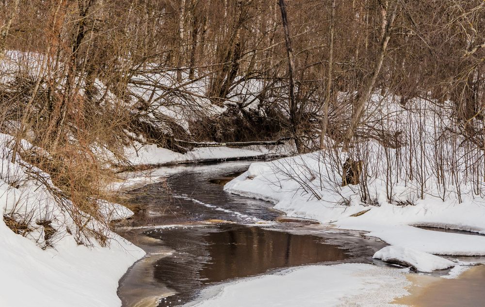 Photograph by Игорь Сидун