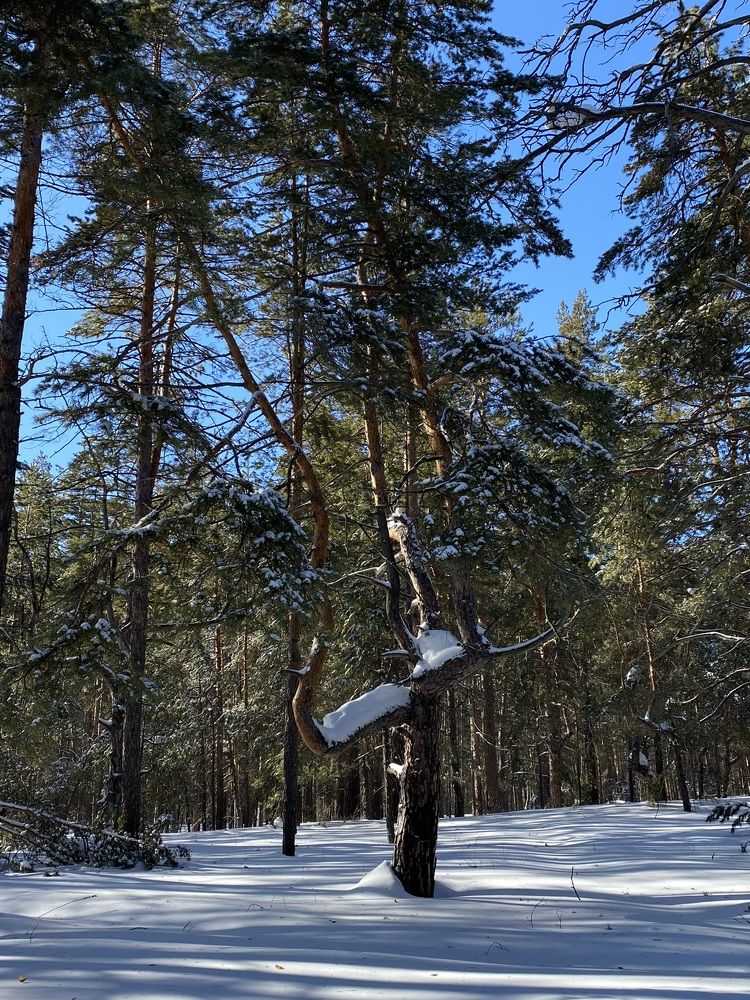 Photograph by Евгения Решетникова