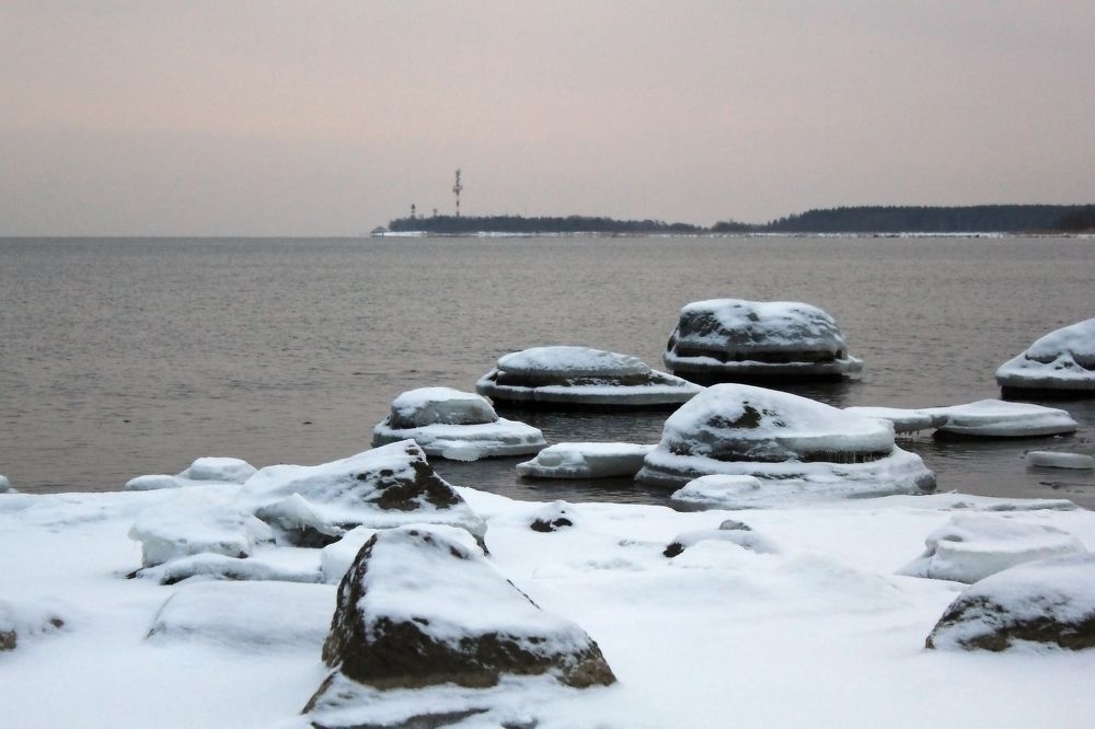 Photograph by Olga Bagaeva