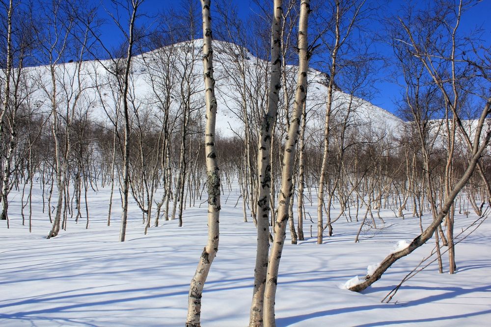 Photograph by Olga Bagaeva