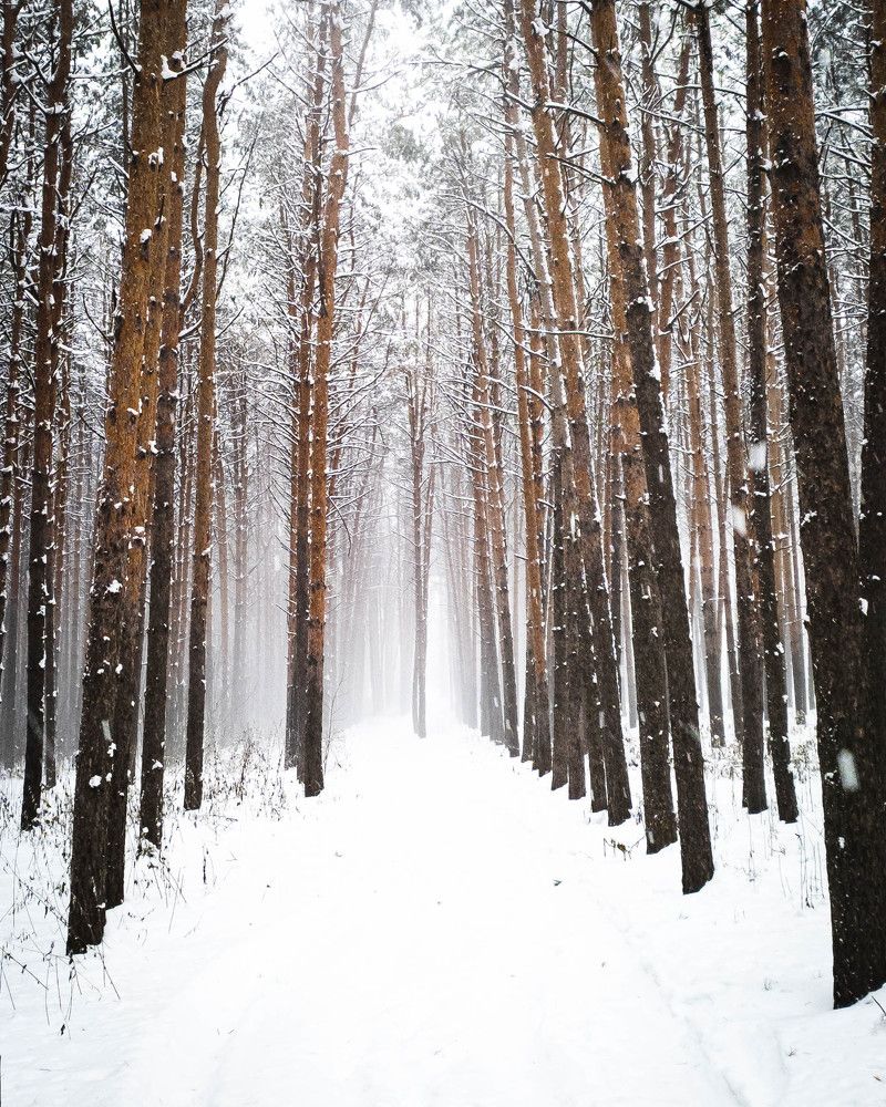 Фотография автора олег романов