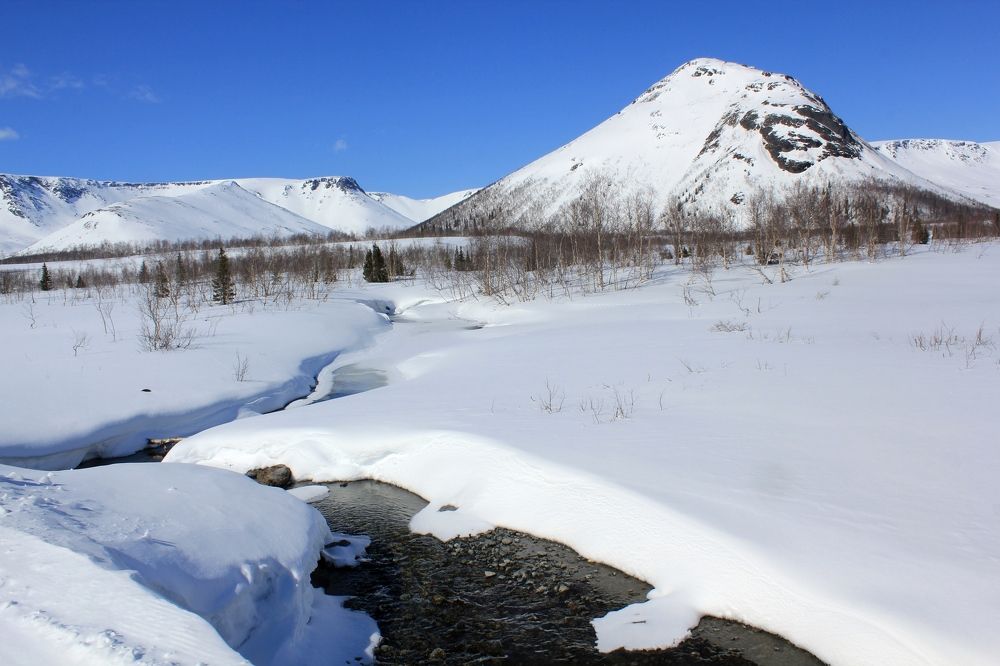 Photograph by Olga Bagaeva