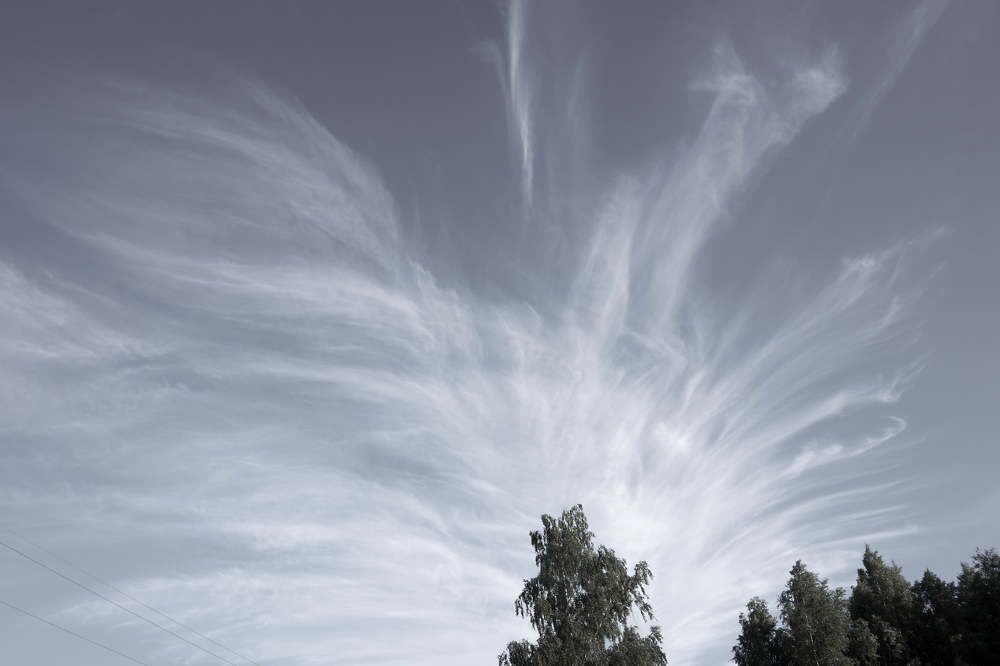 Фотография автора Igors Selivanovs