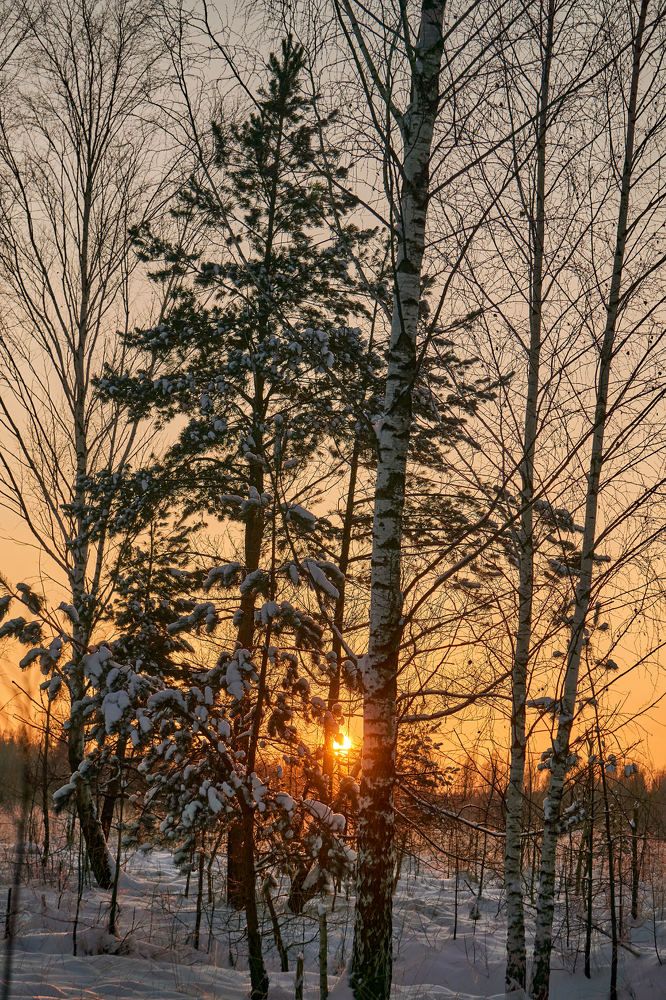 Фотография автора Igors Selivanovs