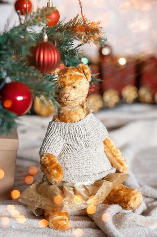 Фотография автора Olga Shalaeva