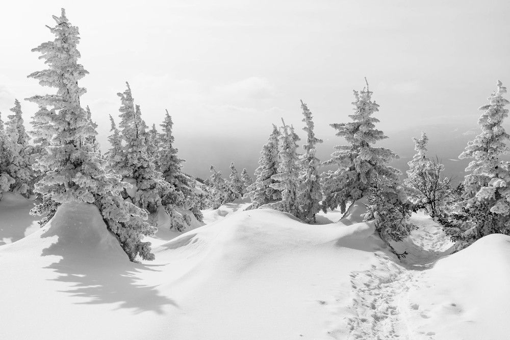 Photograph by Андрей Шишлов