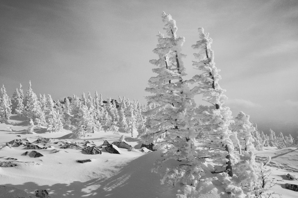 Photograph by Андрей Шишлов