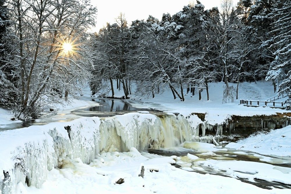 Photograph by IJA REIMAN