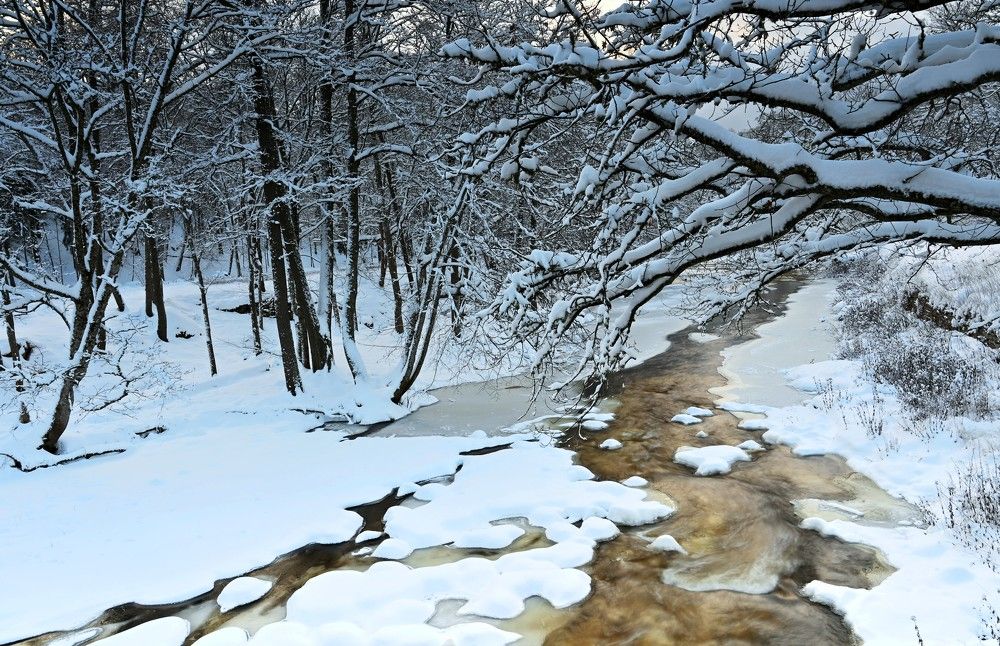 Photograph by IJA REIMAN