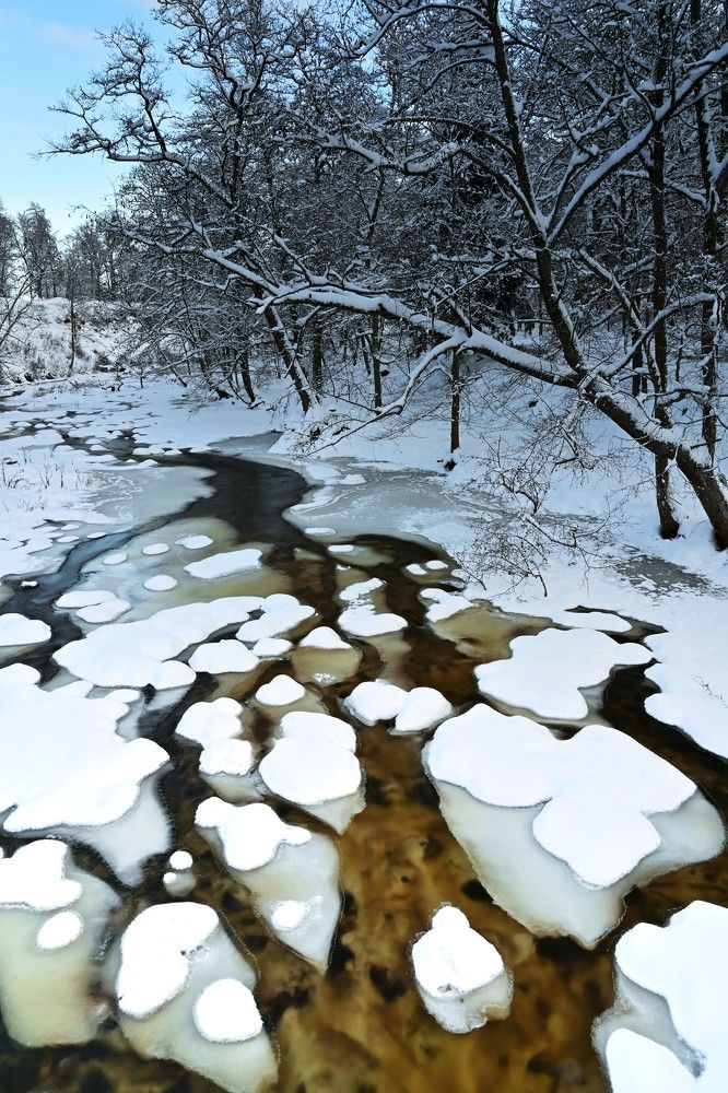 Photograph by IJA REIMAN