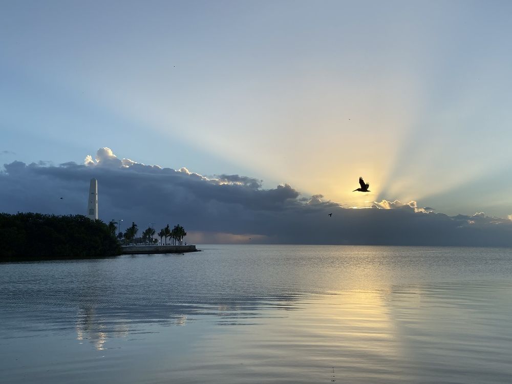Photograph by Julio César uh samos