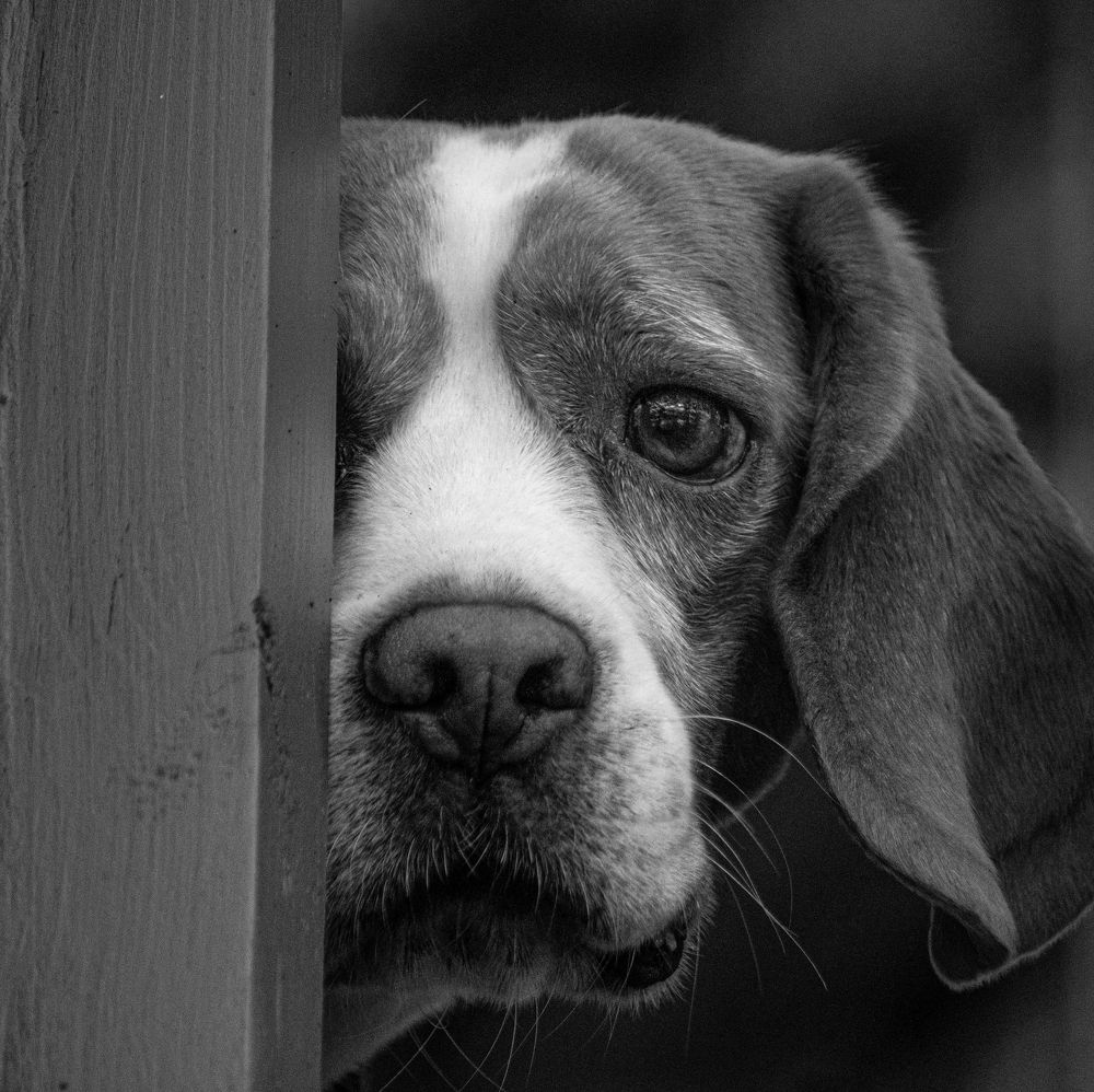 Photograph by Юлия Куликова