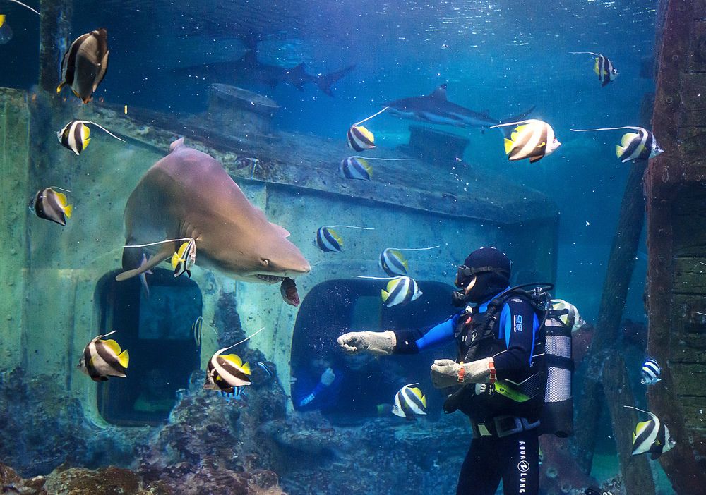 Photograph by Андрей Курбатов